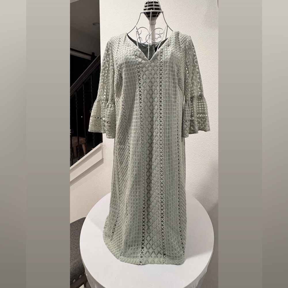 Adrianna Papell Sage Green Lace Overlay Mini Dress